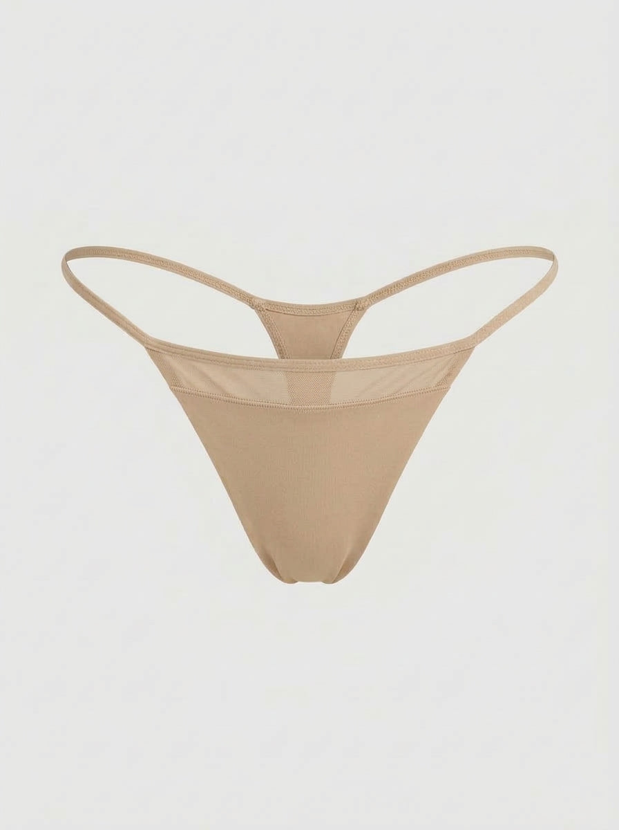 2-Piece Set Low-Rise Micro Thong with Sheer Mesh Front Panel