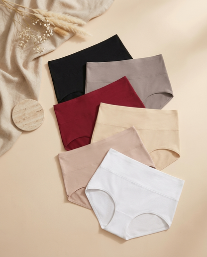6 Pack Seamless High-Waisted No-Show Briefs | Everyday Comfort & Invisible Fit